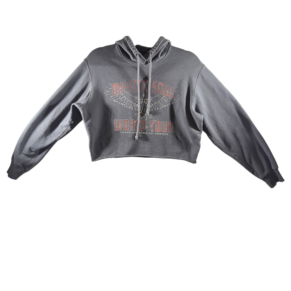 344 | Hollister Mystic Soul Womens XS Graphic Cropped Hoodie Grey